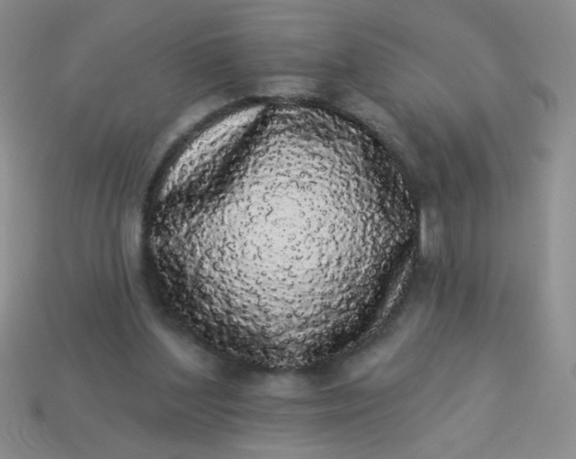 X0000113980204200910161630