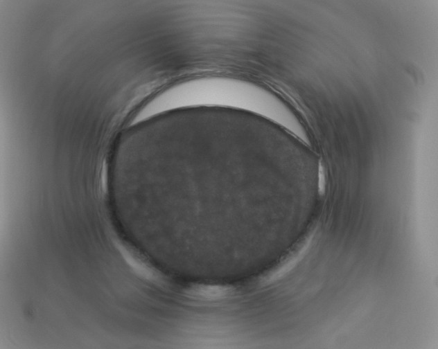 X0000113980205200910161630