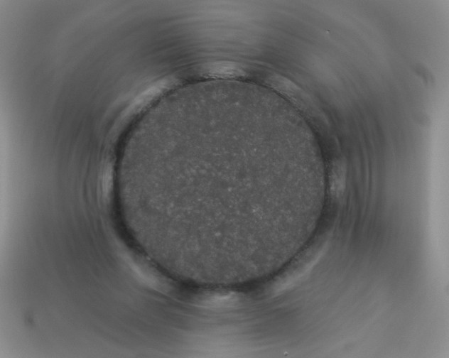 X0000113980206200910161630