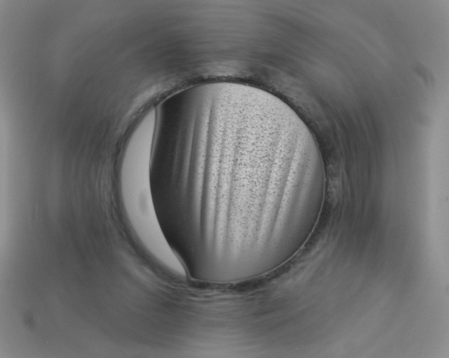 X0000113980207200910161630