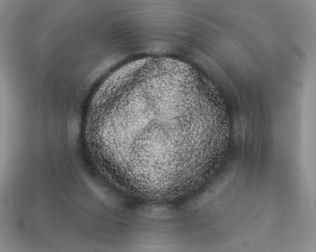 X0000113980208200910161630