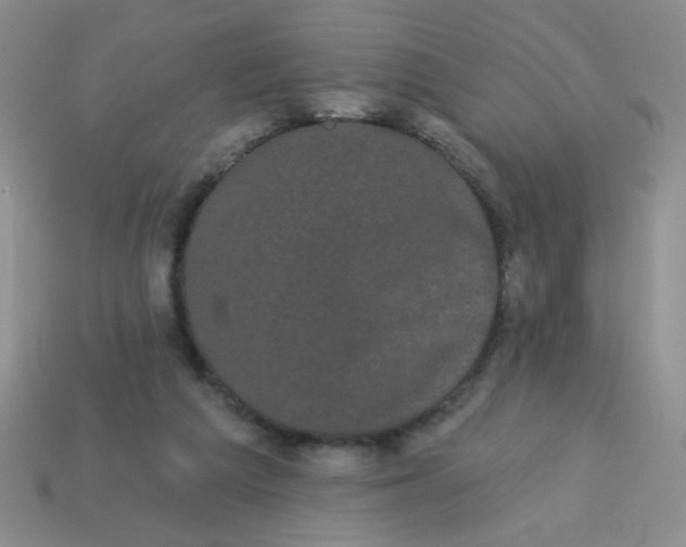 X0000113980209200910161630