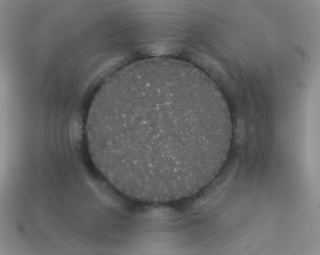 X0000113980210200910161630