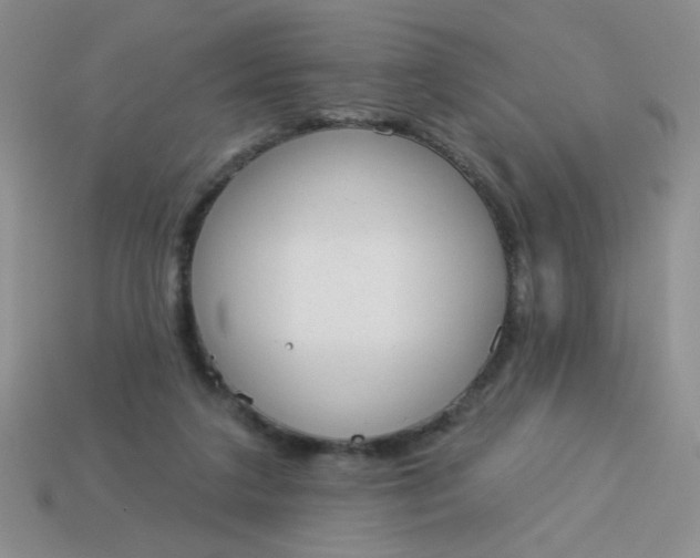 X0000113980211200910161630