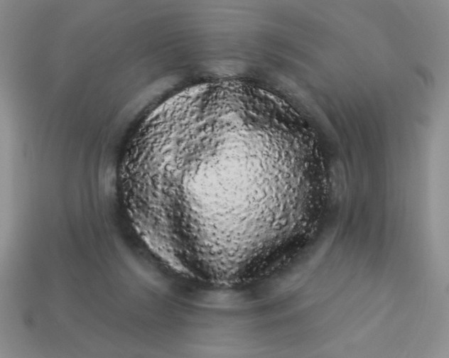 X0000113980212200910161630