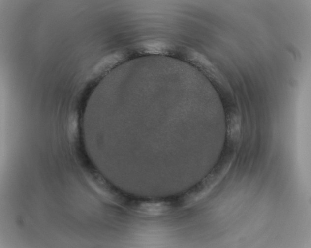 X0000113980213200910161630