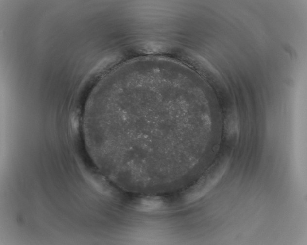 X0000113980214200910161630