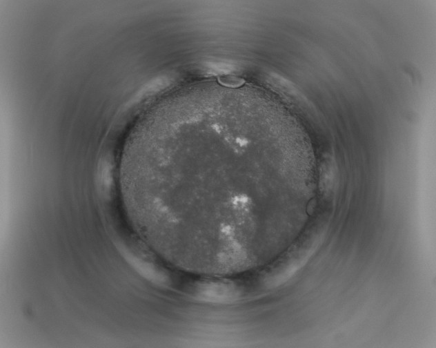 X0000113980215200910161630