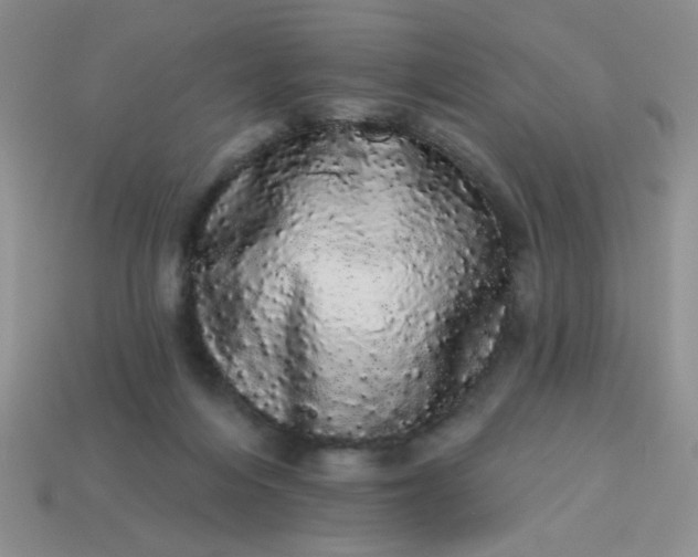 X0000113980216200910161630