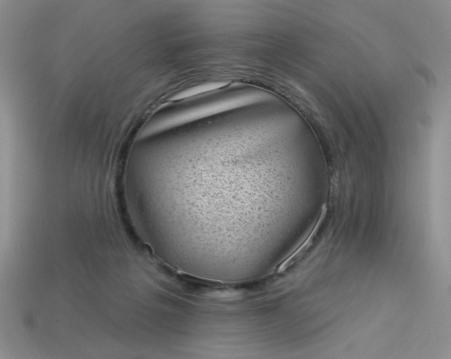 X0000113980217200910161630