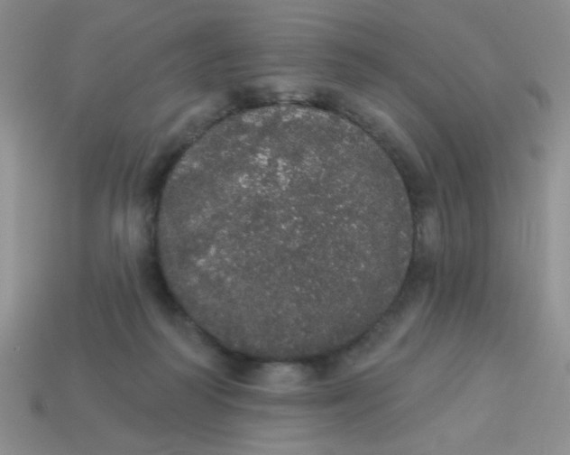 X0000113980218200910161630