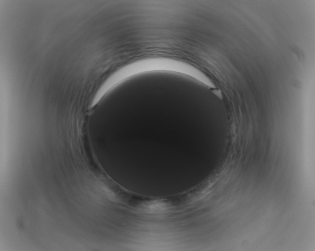 X0000113980219200910161630