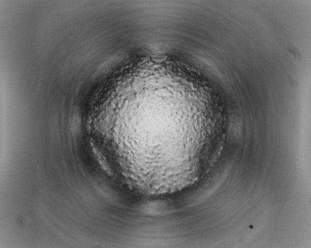 X0000113980220200910161630