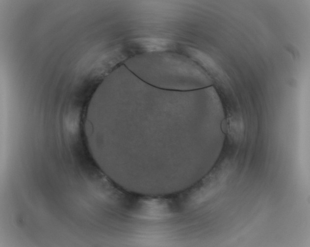 X0000113980221200910161630