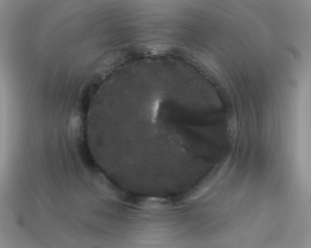 X0000113980222200910161630