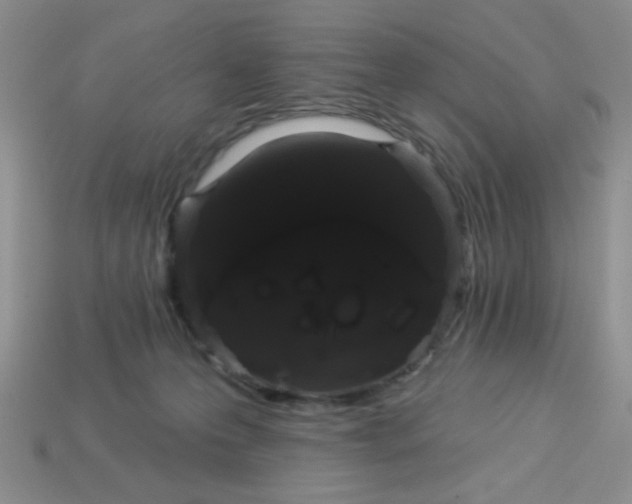 X0000113980223200910161630