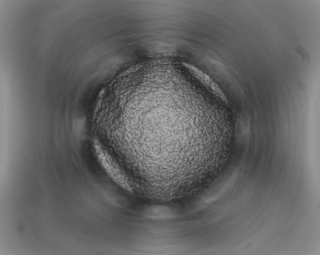 X0000113980224200910161630