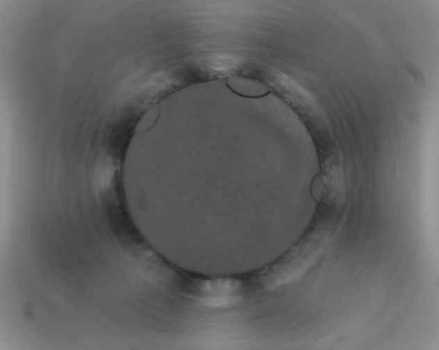 X0000113980225200910161630