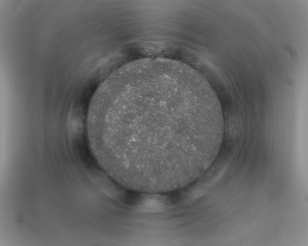 X0000113980226200910161630