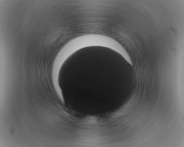 X0000113980227200910161630