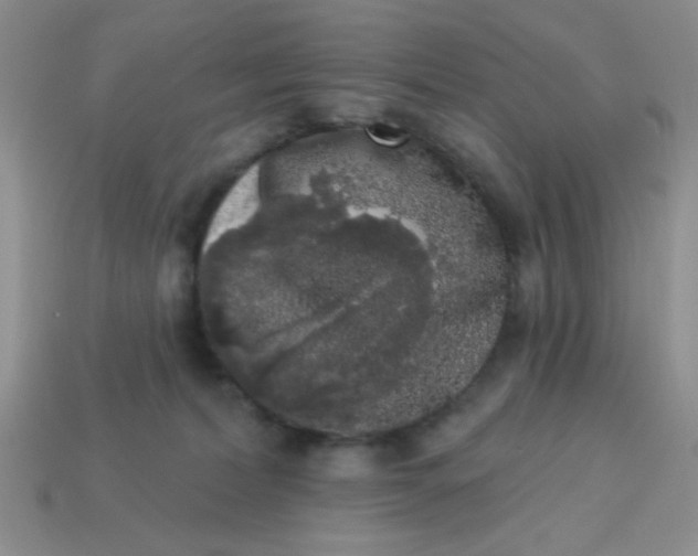 X0000113980228200910161630