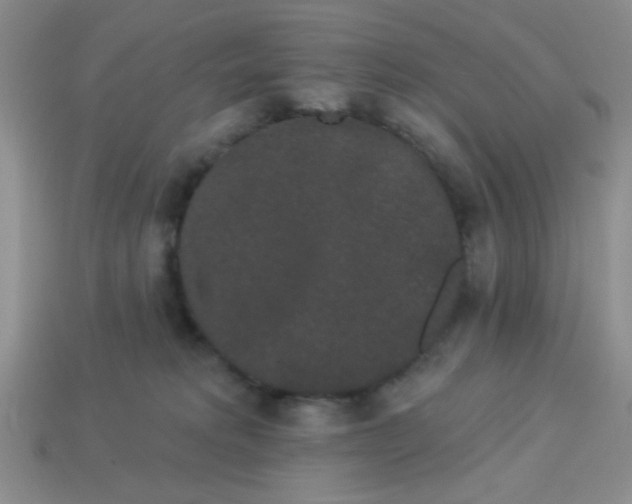 X0000113980229200910161630