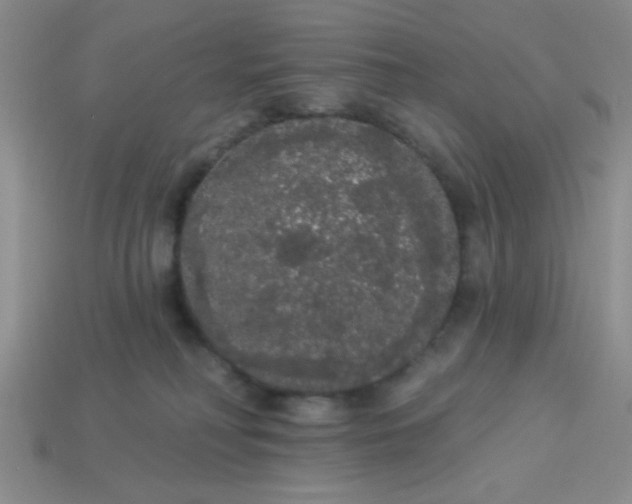 X0000113980230200910161630