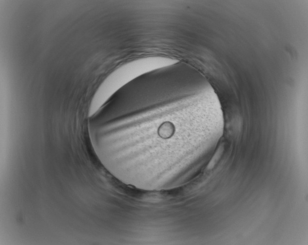 X0000113980231200910161630