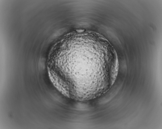 X0000113980232200910161630