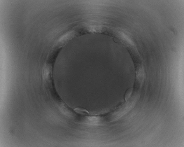 X0000113980233200910161630