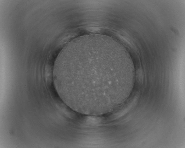 X0000113980234200910161630