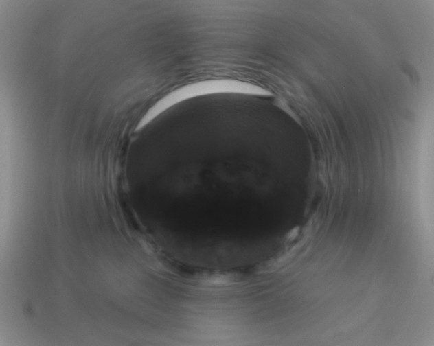 X0000113980235200910161630