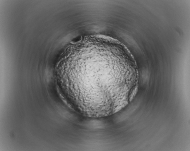 X0000113980236200910161630