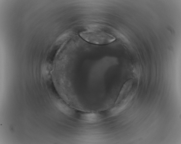 X0000113980237200910161630