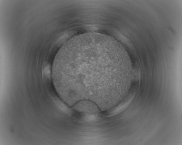 X0000113980238200910161630