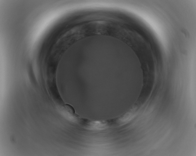 X0000113980239200910161630