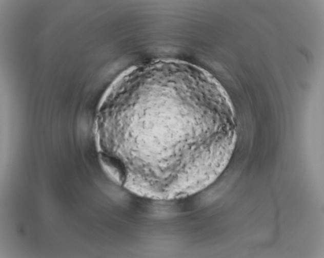 X0000113980240200910161630