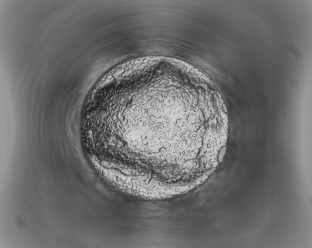 X0000113980241200910161629