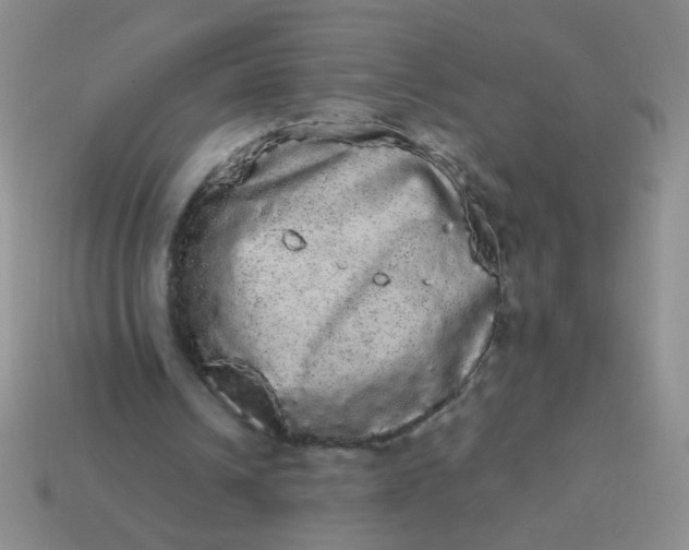 X0000113980242200910161629