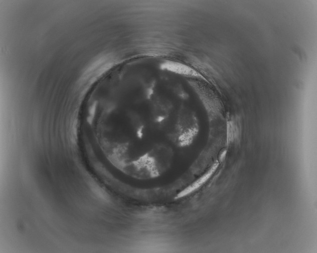 X0000113980243200910161629