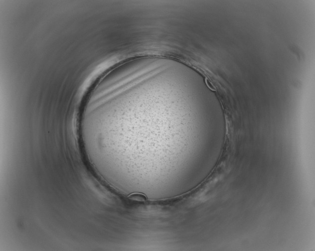 X0000113980244200910161629