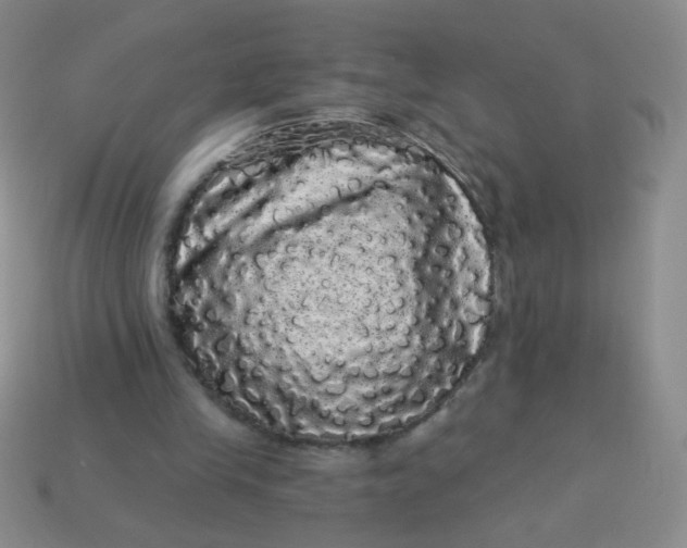 X0000113980245200910161629