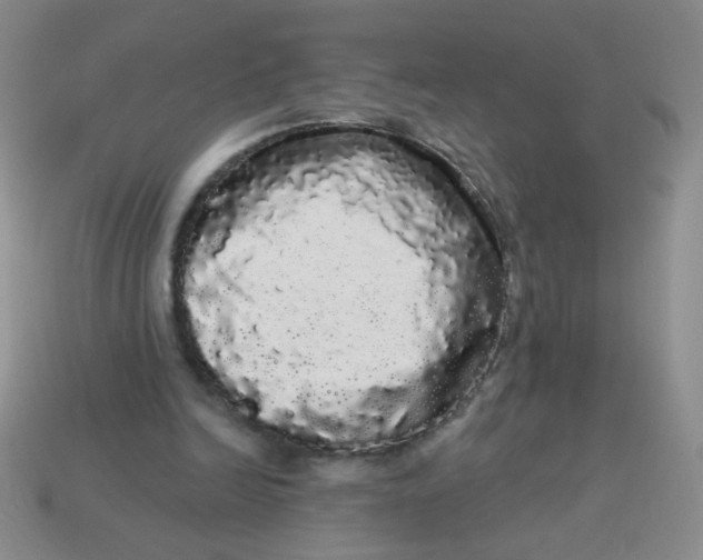 X0000113980246200910161629