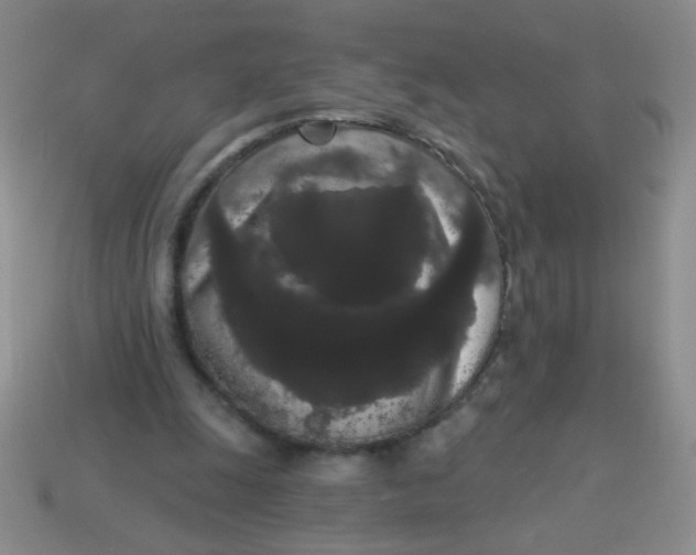 X0000113980247200910161629