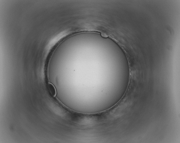 X0000113980248200910161629