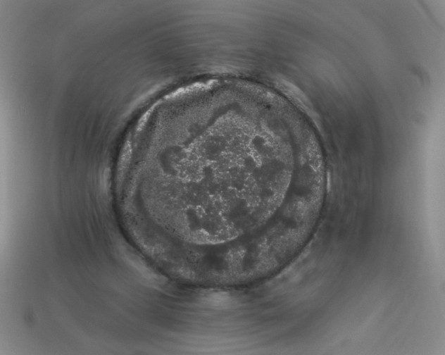 X0000113980249200910161629