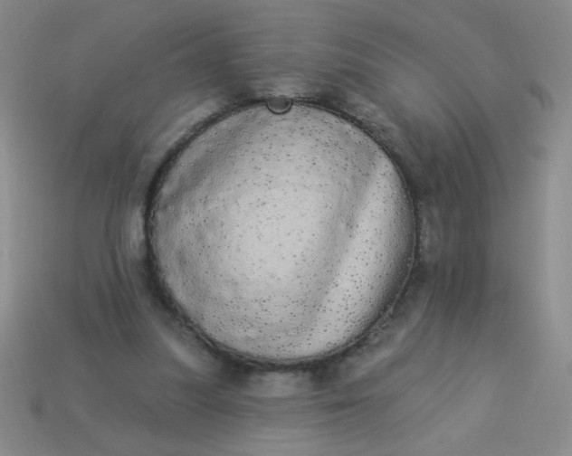 X0000113980251200910161629