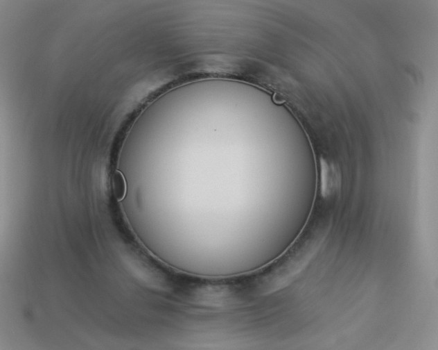 X0000113980252200910161629