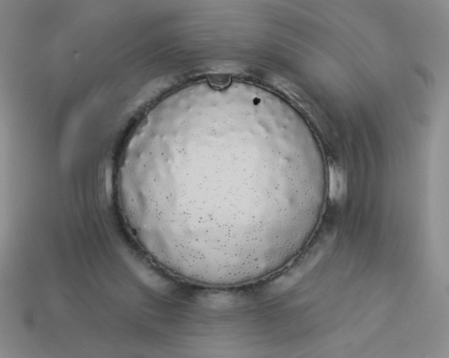 X0000113980253200910161629