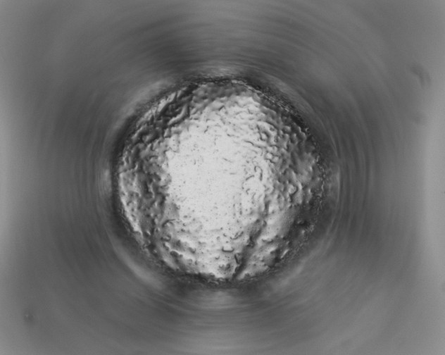 X0000113980254200910161629